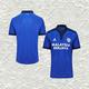 Maglie calcio Cardiff City poco prezzo 2021/2022
