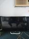 Tv Haier 29 