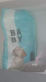 img0
