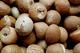 Vendemos nueces de betel secas / nueces de areca