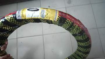 img2