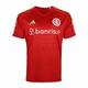 fake SC Internacional kit 2023-2024