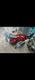 Moto GN125 Lifan con chapa Excelente estado
