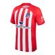 Cheap replica Atletico Madrid football kits 2023-2024