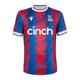 fake Crystal Palace shirts 2023-2024