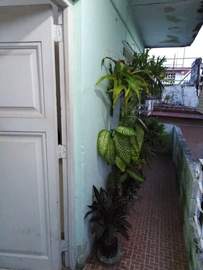 img1