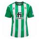 camiseta del betis barata
