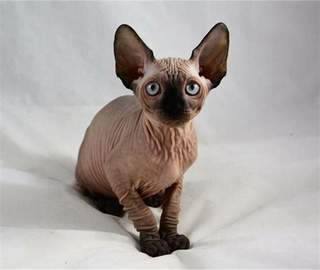 img0