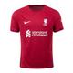 replica Liverpool football shirts