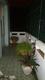 casas particulares en cuba