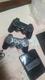 Consola de juegos retro inalámbrica