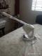 Vaporizador Facial Profesional