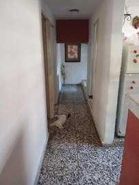 img2