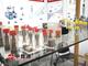 Nozzle Sprayer L286PBD
